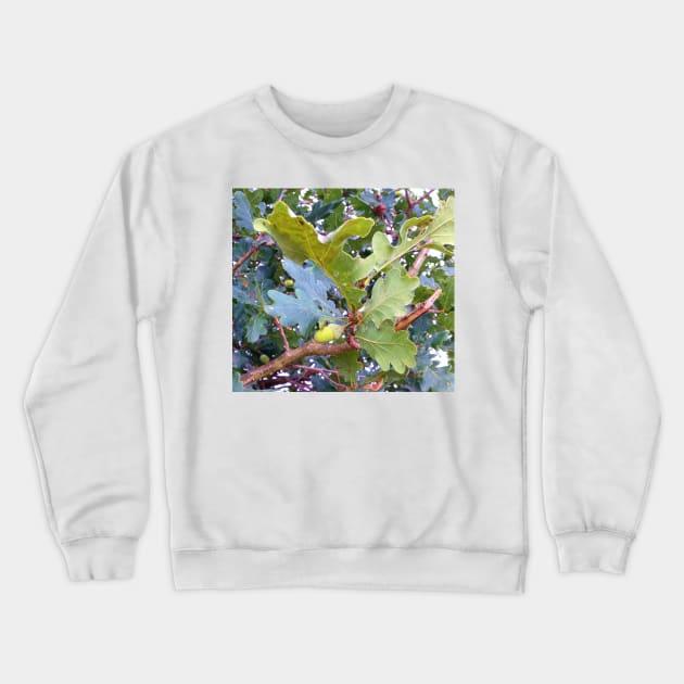 Acorn Crewneck Sweatshirt by robelf